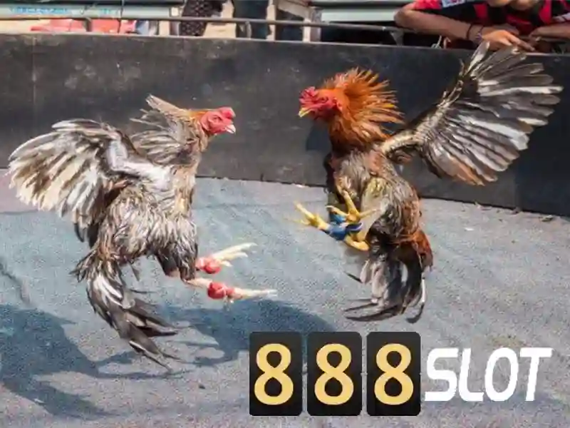 Giới thiệu về 888slot