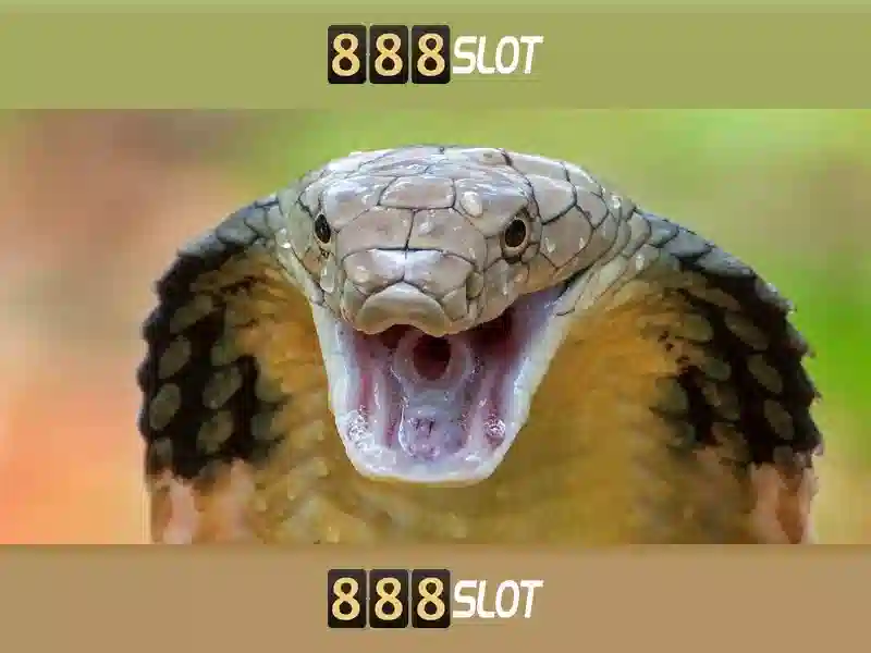 888slot 888slot 888 slot - Nền tảng slot đột phá cho người chơi Việt