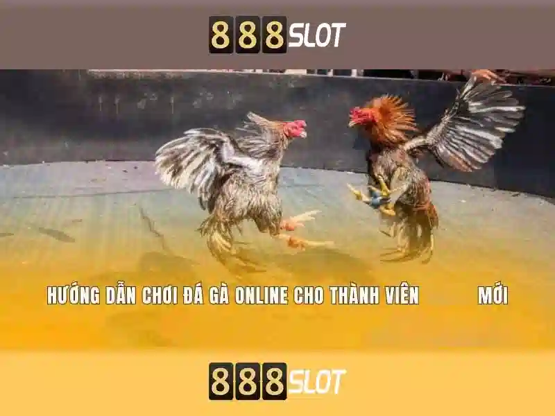 Uy tín và bảo mật