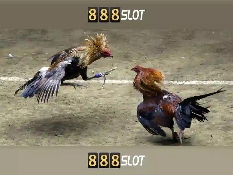 jack slot 888 – Trải nghiệm và đánh giá tổng quan