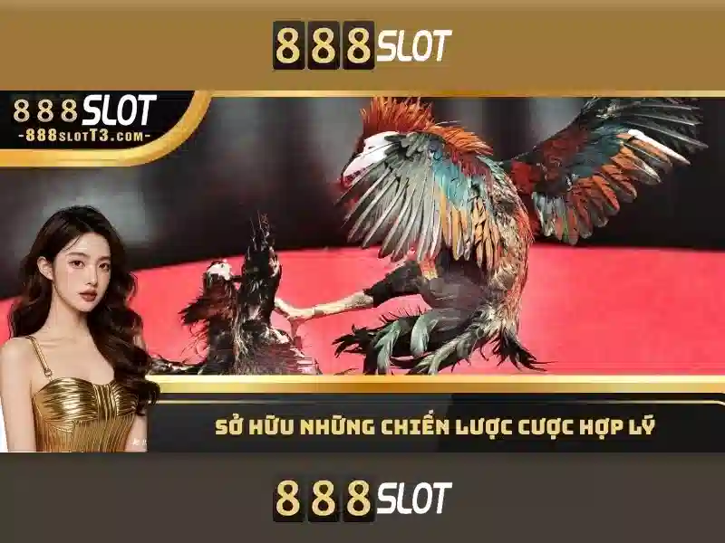 888 slot 00: Trải nghiệm đỉnh cao và giá trị thương hiệu