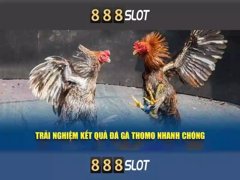 Khám phá 888slot: Nền tảng slot trực tuyến hiện đại