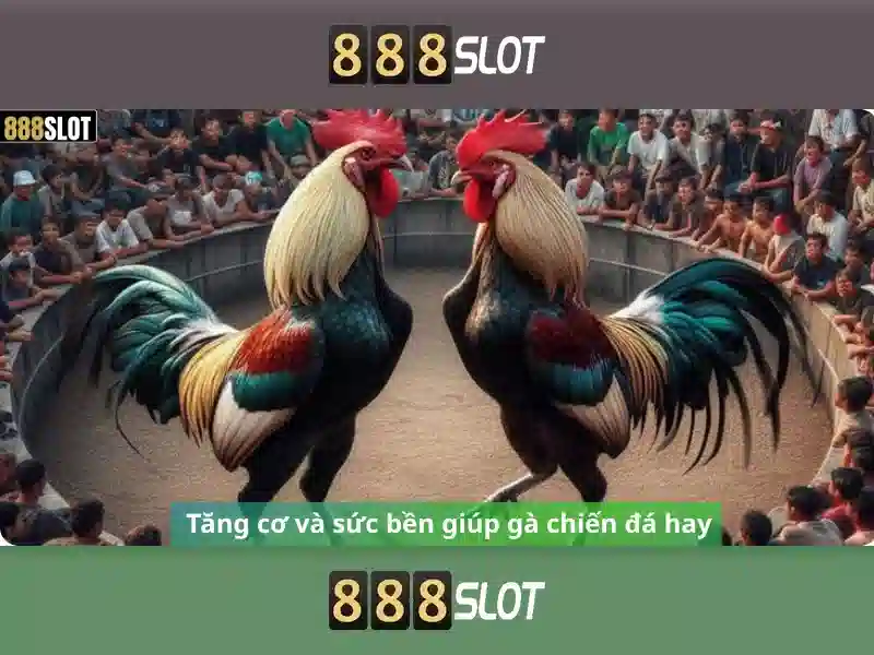 Khám phá 888slot: Nền tảng casino trực tuyến hàng đầu