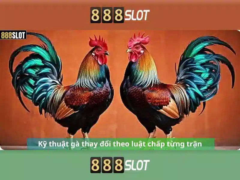 Hình ảnh minh họa cho các sản phẩm play slot 888