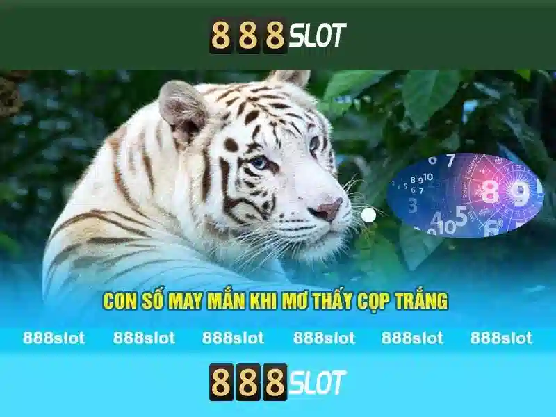 888slot: Đánh bạc trực tuyến an toàn và giải trí