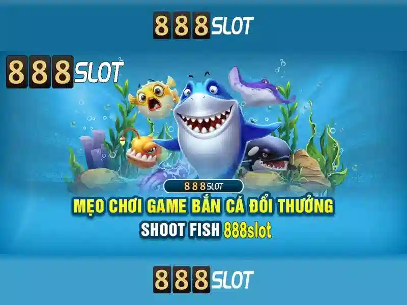Giao diện và trải nghiệm người dùng