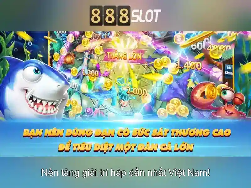 Kết luận
