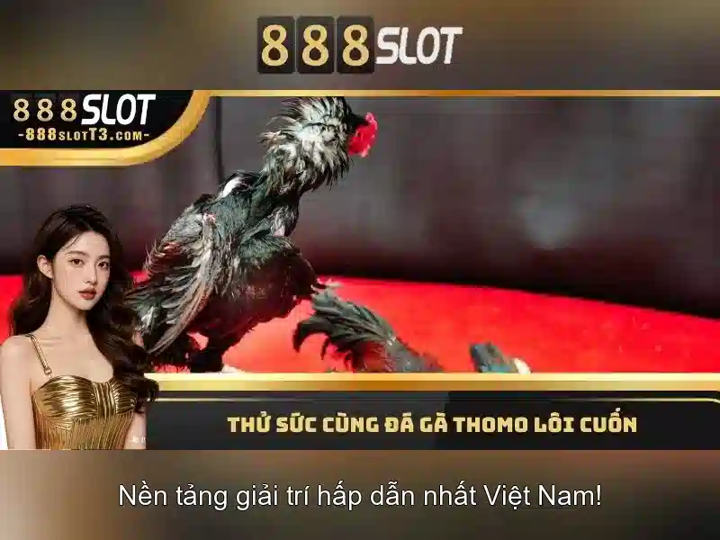 An toàn, thanh toán và hỗ trợ khách hàng