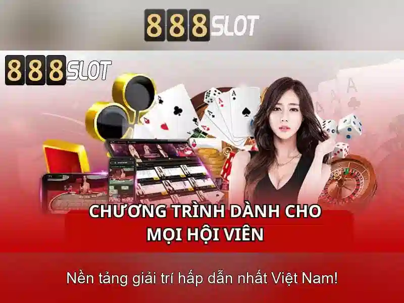 Trải nghiệm người dùng và phản hồi cộng đồng