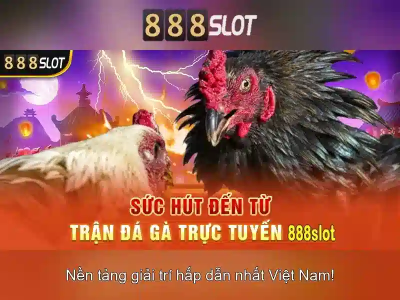 Đánh giá tổng quan về nền tảng