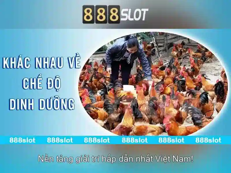 888slot là gì?